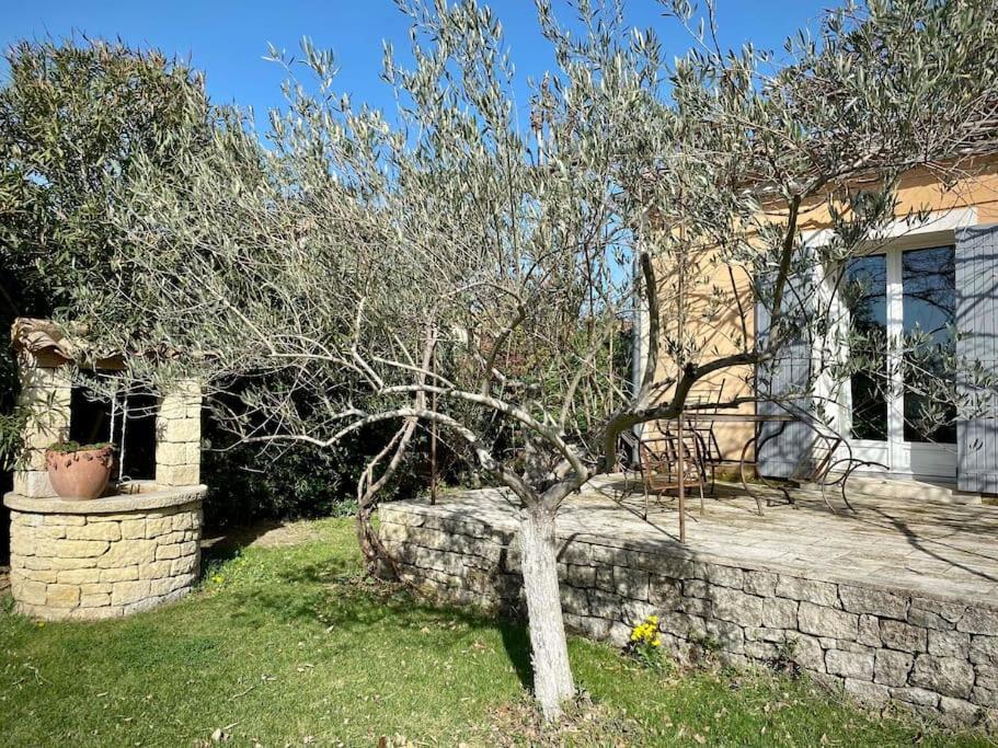 Belle Maison Provencale Au Pied Du Mont Ventoux Caromb 외부 사진