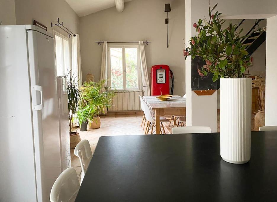 Belle Maison Provencale Au Pied Du Mont Ventoux Caromb 외부 사진