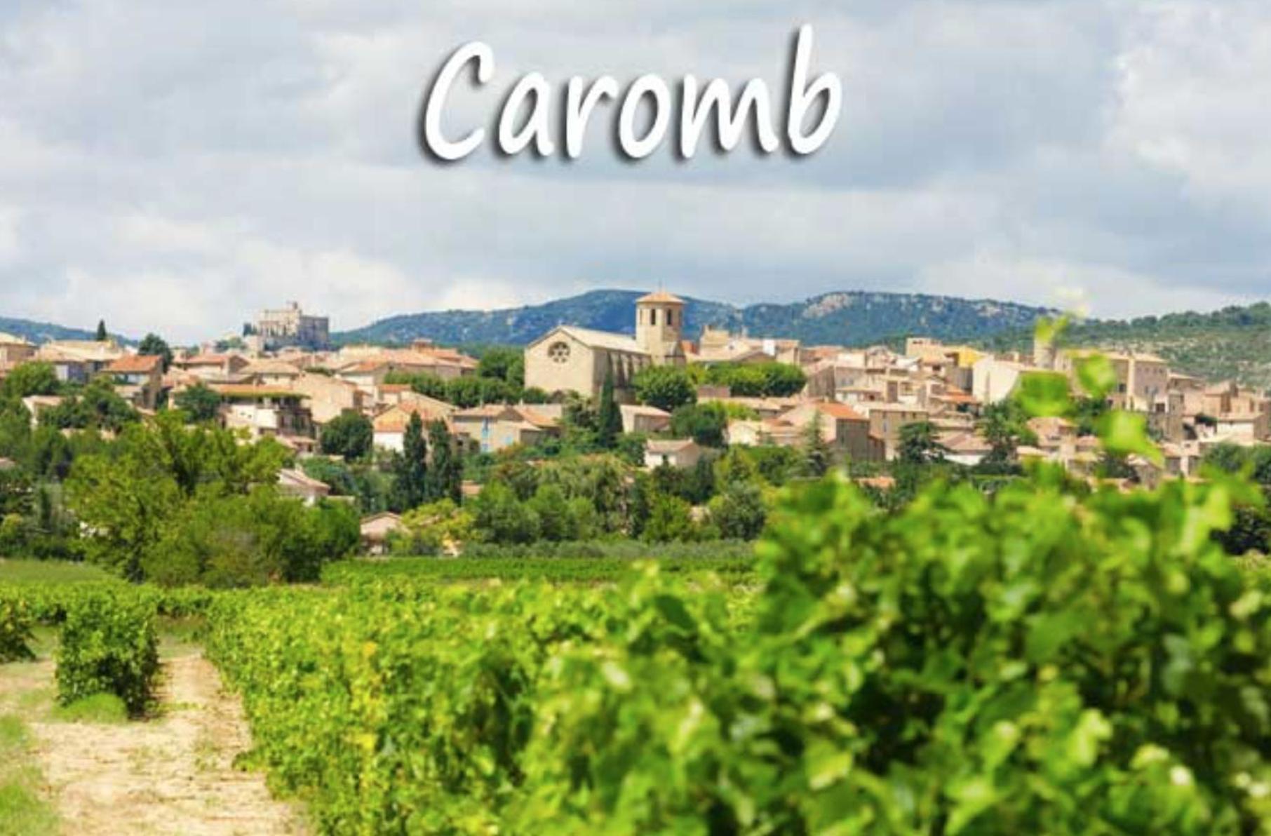 Belle Maison Provencale Au Pied Du Mont Ventoux Caromb 외부 사진